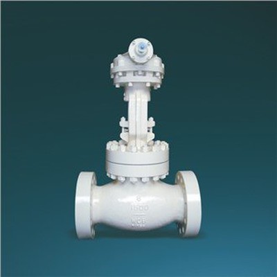 productcate-1-1 Double Disc Globe Valve