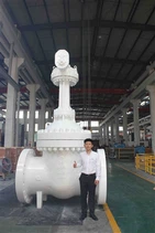 36”-900LB Gate Valve