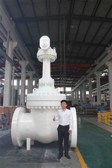 36”-900LB Gate Valve